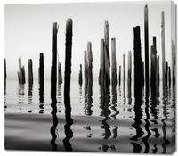 product-compare-59477294