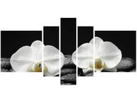 product-compare-58698559