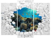 OBRAZ MORSKA NATURA WODA