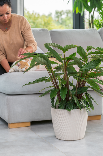 Doniczka okrągła Mika 27 z podstawką | Platyna na Arena.pl