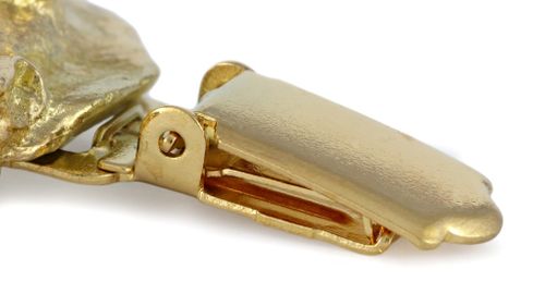 Labrador Retriever - klips - 2615 na Arena.pl