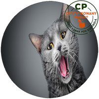 Opłatek na tort Koty