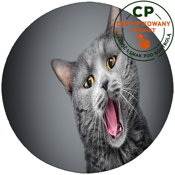 Opłatek na tort Koty zdjęcie 1