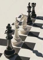 Plakat 40x55cm Szach i Mat