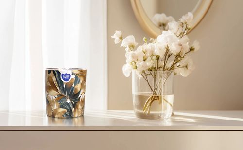 aura świeca zapachowa baśniowa kraina 22h sn72s-56 na Arena.pl