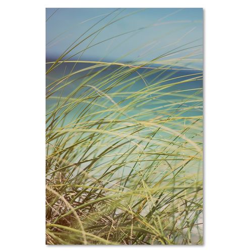 Deco Panel, Wiatr na wydmach 40x60 na Arena.pl