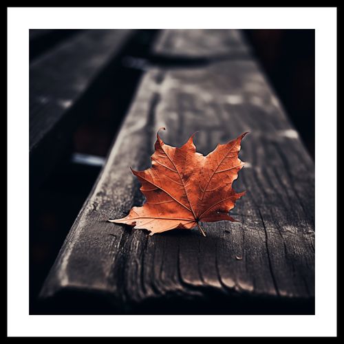 Plakat 40x40cm Pojedynczy Liść na Arena.pl