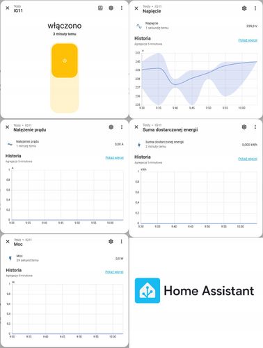 Inteligentne Gniazdko Pomiar 16A 3500W ZigBee TUYA Home Assistant PSMART na Arena.pl