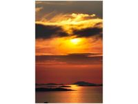 40X60CM CHORWACKIE SŁOŃCE OBRAZ