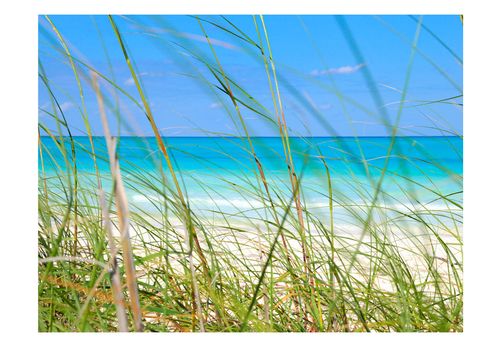 Fototapeta - Tropical journey 400x309 na Arena.pl