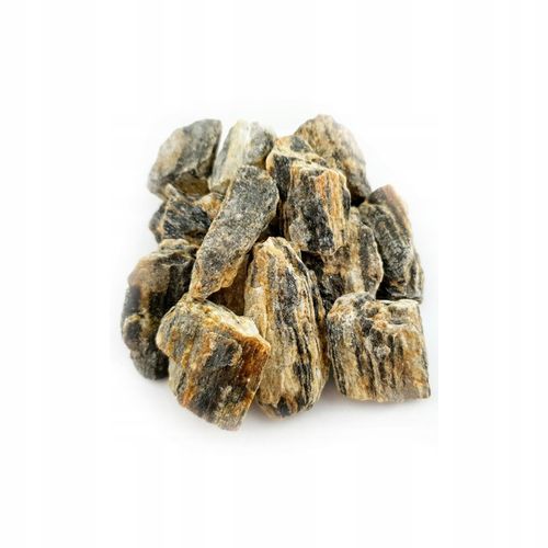 ZESTAW STARTOWY do las w słoiku MIKROKLIMAT na Arena.pl