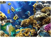 50X70CM RAFA KORALOWA OBRAZ POKOJU DREWNINE