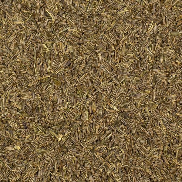 Kminek ziarno 200g zdjęcie 3