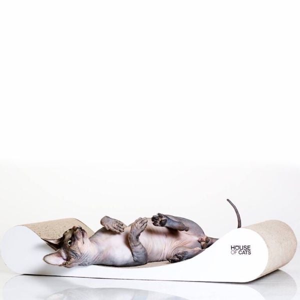 Drapak dla kotów Sofa Drapak dla kota Sofa White zdjęcie 5