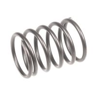 Sprężyna Cedrus myjka ciśnieniowa MC150P 560318