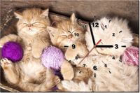 60CM 40CM ZEGAR OBRAZ ŚPIĄCE KOTY MISCE DRUK PŁÓTNO RAMA