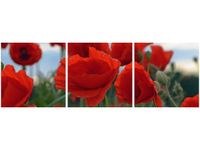 90X30CM MAKI DUNCAN TRÓJ OBRAZ