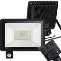 HALOGEN REFLEKTOR ROBOCZY GARAŻOWY NAŚWIETLACZ CZUJNIK RUCHU ZMIERZCHU 100W