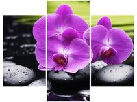 product-compare-58682259