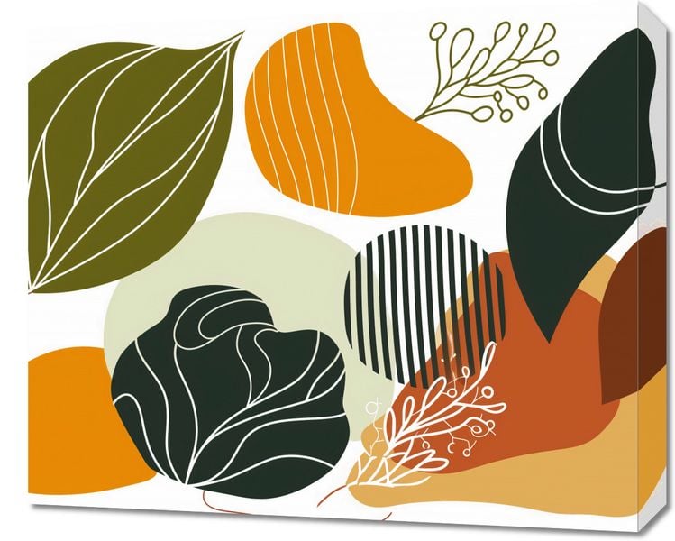 Obraz 60x50cm Natura Gwizda zdjęcie 1