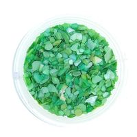 Płatki muszli kruszonej do paznokci ozdoby do hybrydy żelu CS38