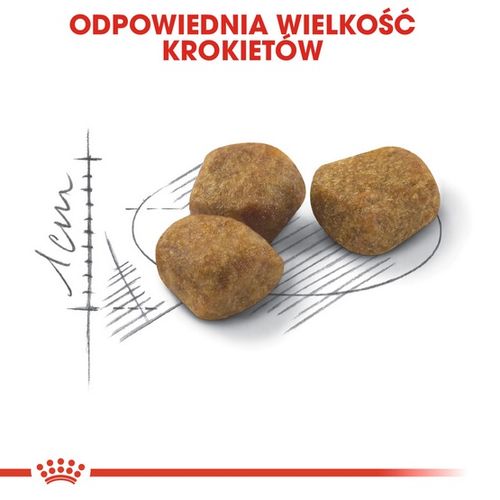 Odchudzająca karma dla kotów wspierająca idealną kondycję Royal Canin 2kg na Arena.pl