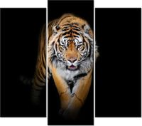 90 80CM OBRAZ T3 ELEM TYGRYS DRUK ŚCIENNY