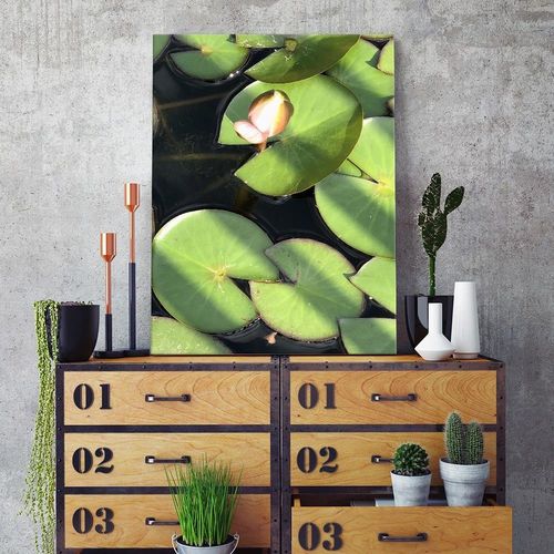 Deco Panel, Pączek lilii wodnej 40x60 na Arena.pl