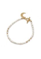 product-compare-54186897