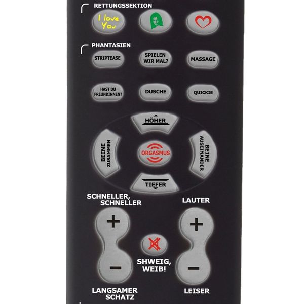 Gadający Pilot - Steruj Kobietą! (DE) zdjęcie 6