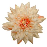 Dalia wyrobowa duża jasny łosoś T138