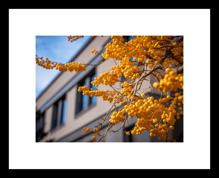 Plakat 18x13cm Złote Jagody zdjęcie 3