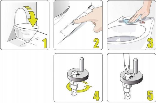 DESKA WC 2w1 WOLNOOPADAJĄCA SEDESOWA + NAKŁADKA na Arena.pl