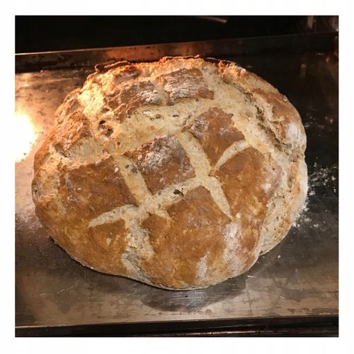 ŚWIEŻE DROŻDŻE PIEKARSKIE 2,5 KG IDEALNE DO PIECZENIA CHLEBA PIZZY na Arena.pl