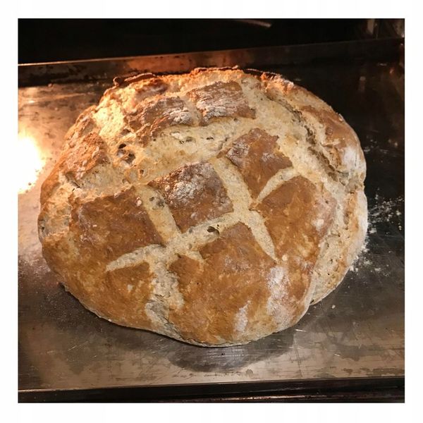 ŚWIEŻE DROŻDŻE PIEKARSKIE 2,5 KG IDEALNE DO PIECZENIA CHLEBA PIZZY zdjęcie 15