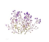 KWIATKI DZWONKI 6 SZT FIOLETOWE DPZA-162 DP CRAFT