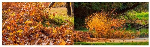 DMUCHAWA SPALINOWA OGRODOWA ODKURZACZ DO LIŚCI ŚNIEGU na Arena.pl