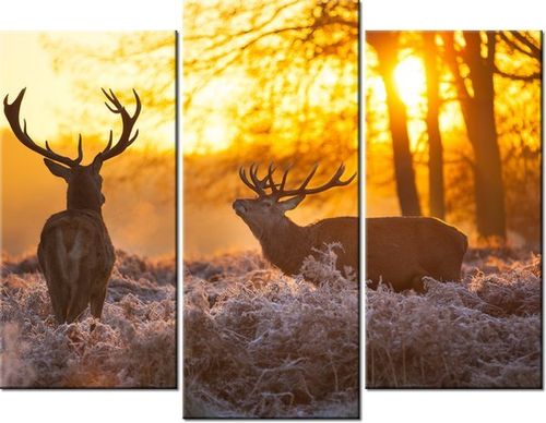 70 90CM OBRAZ 3 ELEM JELENIE ŚCIENNY DRUK PŁÓTNO na Arena.pl