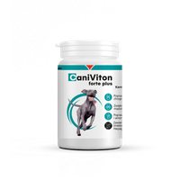 Vetoquinol Caniviton Forte Plus 90szt