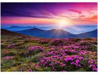 50X70CM GÓRSKA ŁĄKA OBRAZ POKOJU DREWNINE