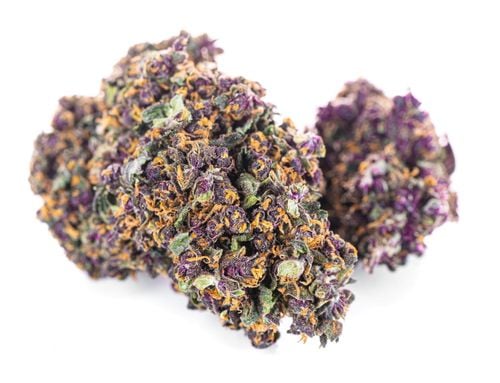 Susz konopny Purple Haze SUPER AMSTERDAM CBD 50g na Arena.pl