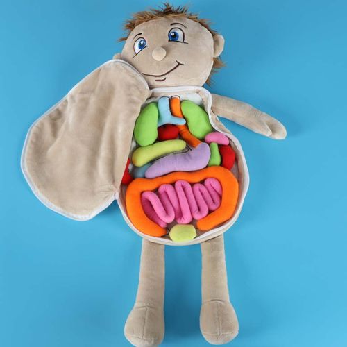 INTERAKTYWNA LALKA EDUKACYJNA DO NAUKI na Arena.pl