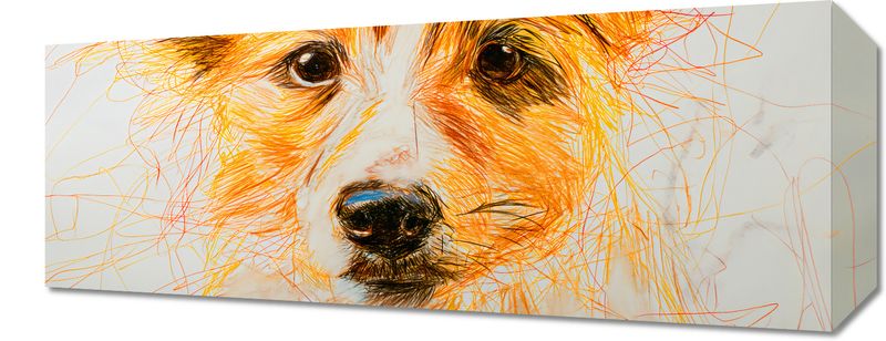 Obraz 50x20cm Uroczy Gość zdjęcie 1