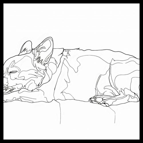 Plakat 60x60cm Śpiący Psiak na Arena.pl