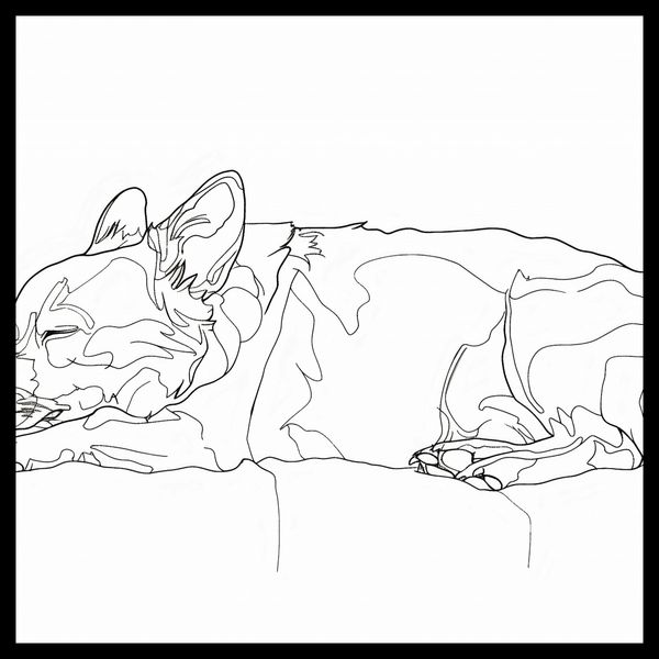 Plakat 60x60cm Śpiący Psiak zdjęcie 2