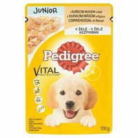 PEDIGREE JUNIOR KURCZKA 100G SASZETKA