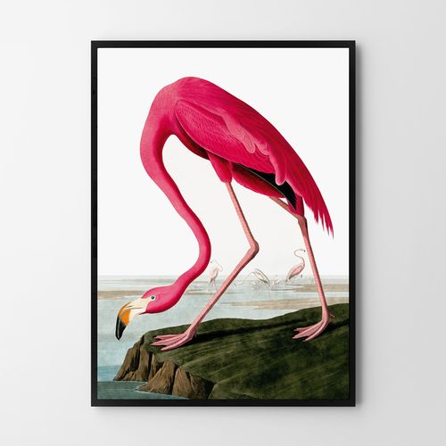Plakat różowy flaming vintage 29,7x42 cm A3 na Arena.pl