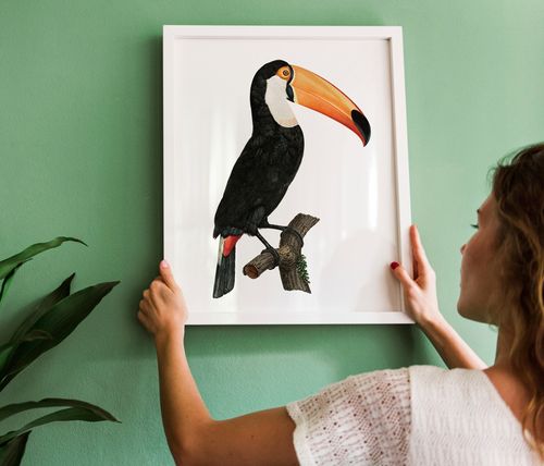 Plakat tukan ptak vintage 21x29,7 cm A4 na Arena.pl