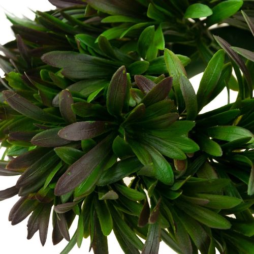 WIANEK STROIK OZDOBNY SZTUCZNY JESIENNY GĘSTY NA DRZWI OKNO GAŁĄZKA na Arena.pl