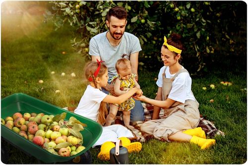 Wózek ogrodowy transportowy taczka wywrotka przyczepka 3w1 200kg na Arena.pl